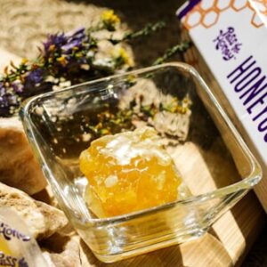 Honey Harvesting Kit